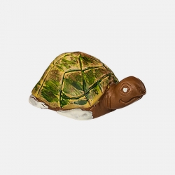 Tortue